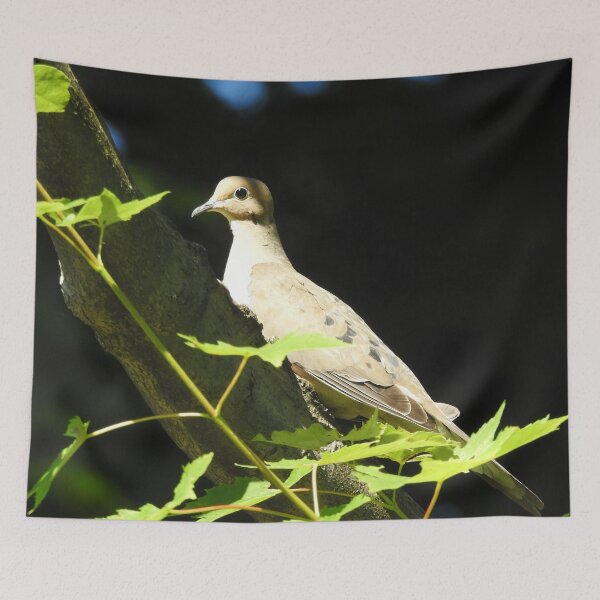 Item preview, Mourning Dove 3 designed and sold by priesterjen.