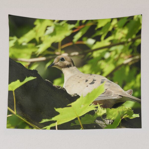 Item preview, Mourning Dove 4 designed and sold by priesterjen.