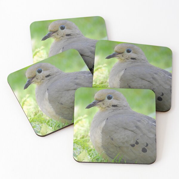Item preview, Mourning Dove 5 designed and sold by priesterjen.