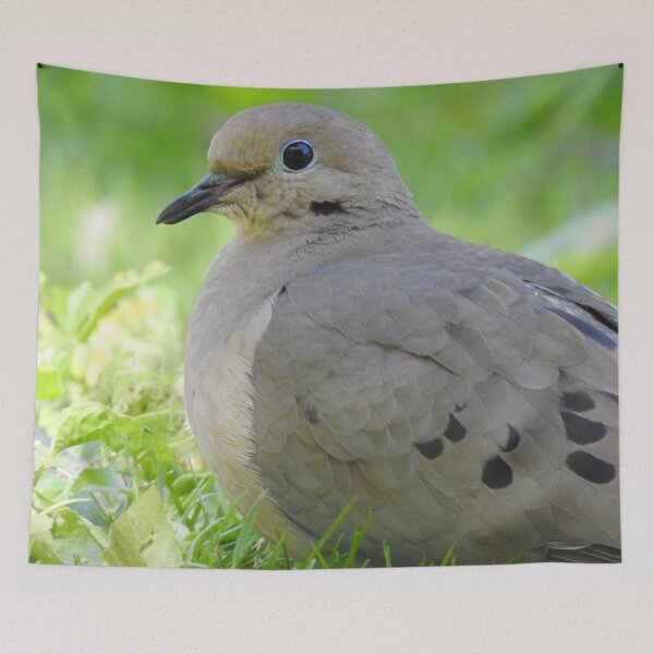 Item preview, Mourning Dove 5 designed and sold by priesterjen.