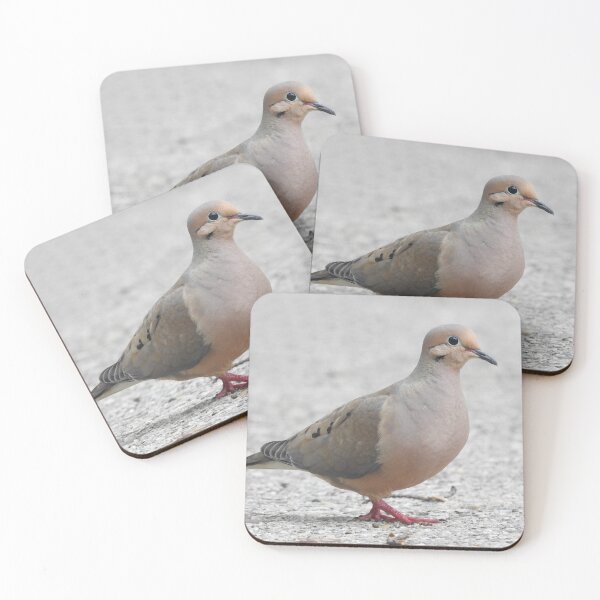 Item preview, Mourning Dove 6 designed and sold by priesterjen.