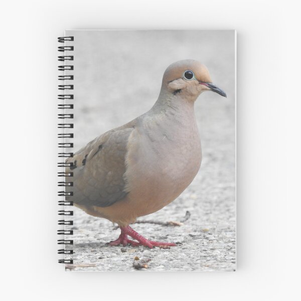 Item preview, Mourning Dove 6 designed and sold by priesterjen.