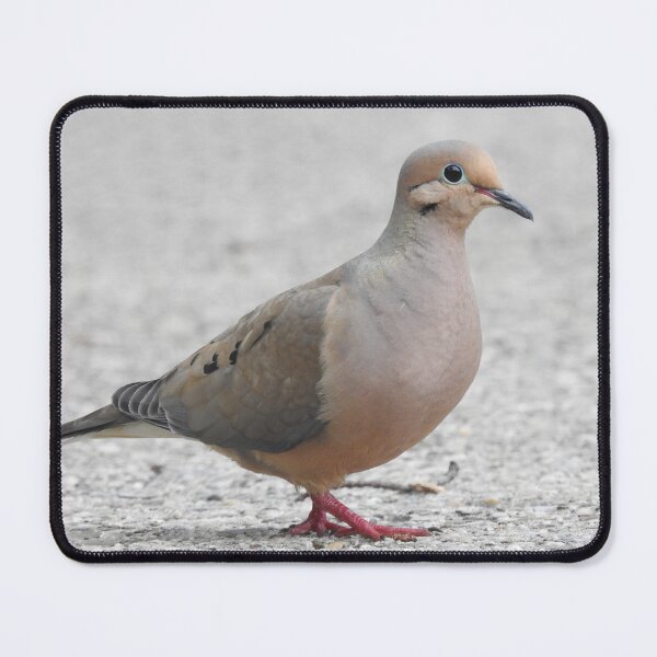Item preview, Mourning Dove 6 designed and sold by priesterjen.