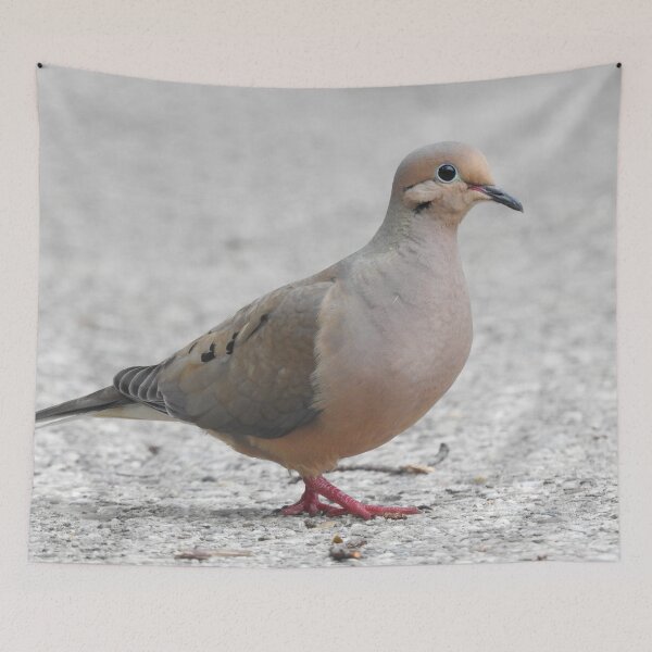Item preview, Mourning Dove 6 designed and sold by priesterjen.