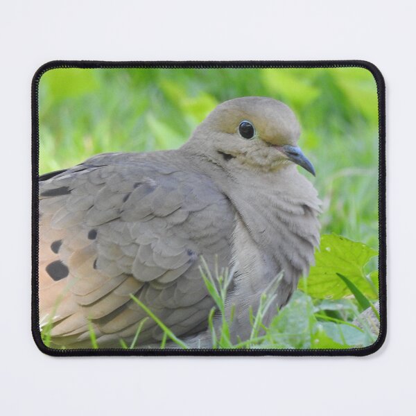 Item preview, Mourning Dove 7 designed and sold by priesterjen.
