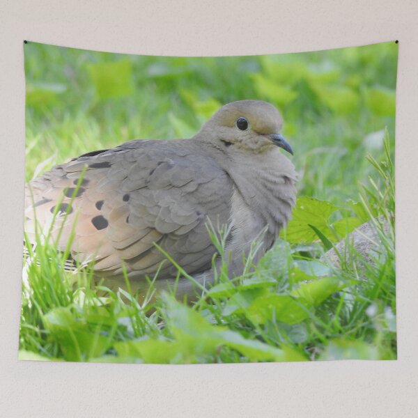 Item preview, Mourning Dove 7 designed and sold by priesterjen.