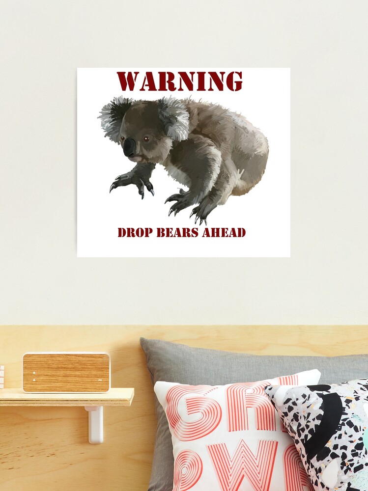 Koala Drop Bear Stock Photo - Download Image Now - Bear, Drop