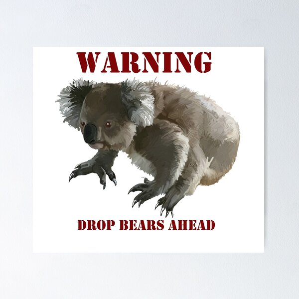 drop bear - Google Search  Funny koala, Koala, Drop bear