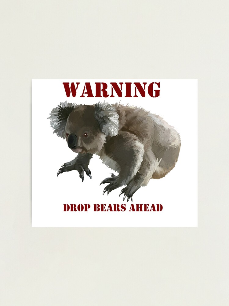 Koala Drop Bear Stock Photo - Download Image Now - Bear, Drop