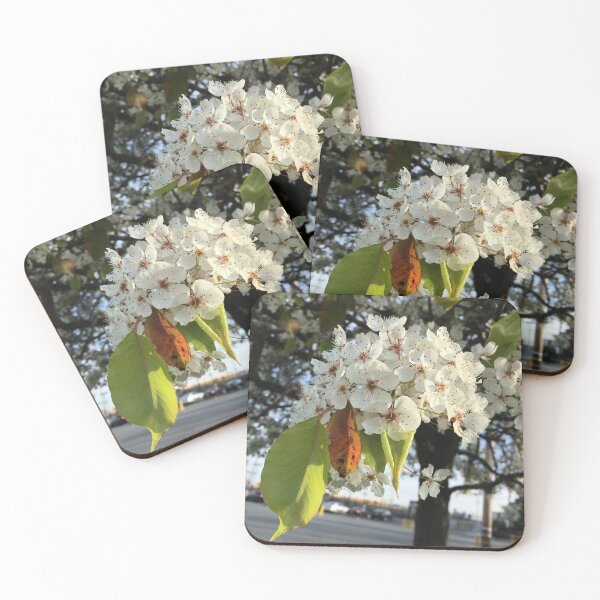 Item preview, FreshFlowers designed and sold by StellarLeven.