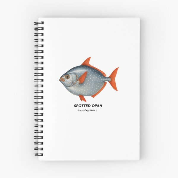 Item preview, Spotted Opah – Marine Animals of California designed and sold by CaliforniaVibe.