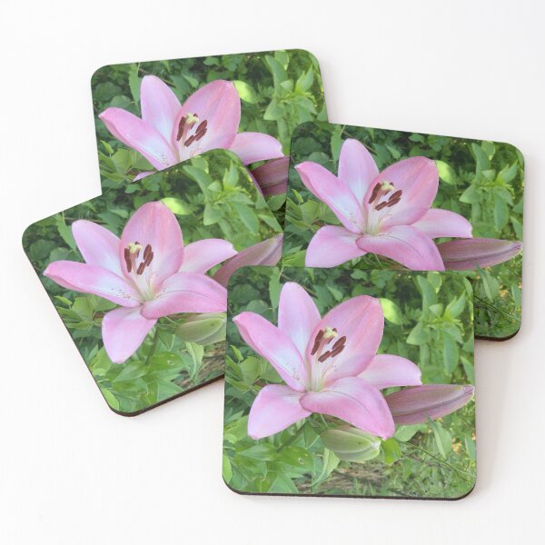 Item preview, Pink Lily Surrounded by Leaves  designed and sold by Amanda1775.
