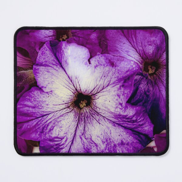 Item preview, Soft Petals and Vivid Color designed and sold by feralfallsnfractures.