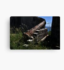 old canon Canvas Print