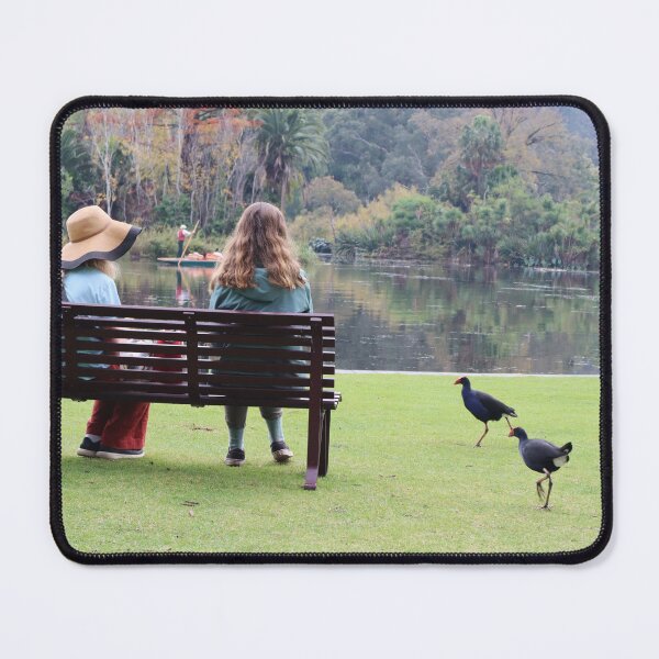 Item preview, Australian Swamphens at Melbourne Botanical Garden designed and sold by Lauren Elizabeth Photograhy AU.