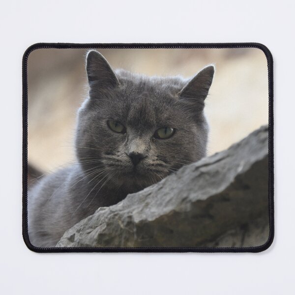 Item preview, Un gatto incredibile designed and sold by Lovely-design1.