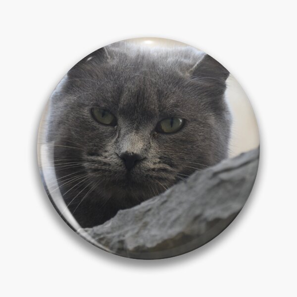 Item preview, Un gatto incredibile designed and sold by Lovely-design1.