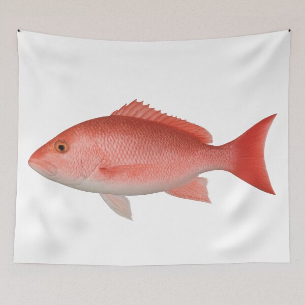 Item preview, Red Snapper - Red Snapper Fishing designed and sold by Galvanized.