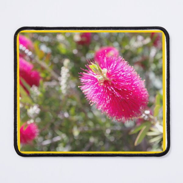 Item preview, Pink Callistamon designed and sold by JenGo Creative.