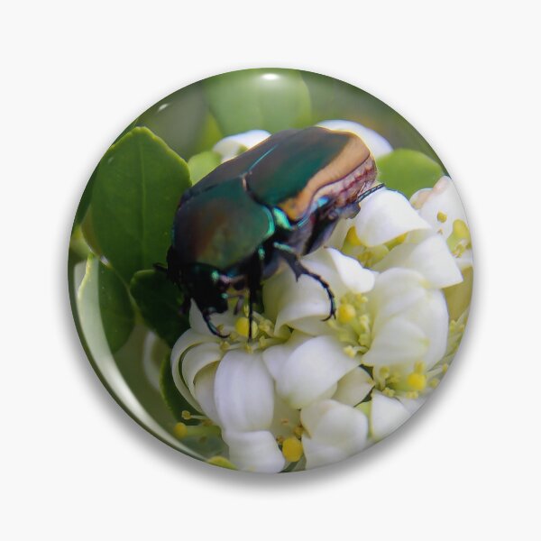 Item preview, Beautiful June Bug designed and sold by heatherfriedman.