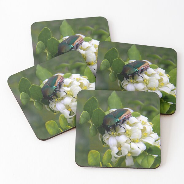 Item preview, Beautiful June Bug designed and sold by heatherfriedman.