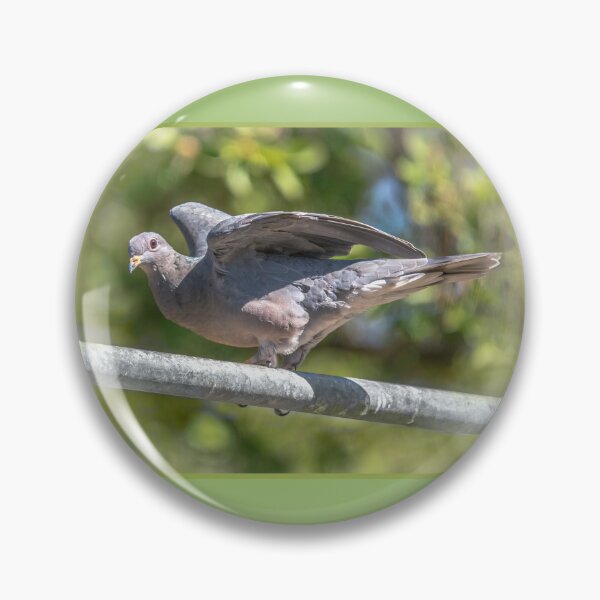 Item preview, Mourning Dove  designed and sold by CarolM.