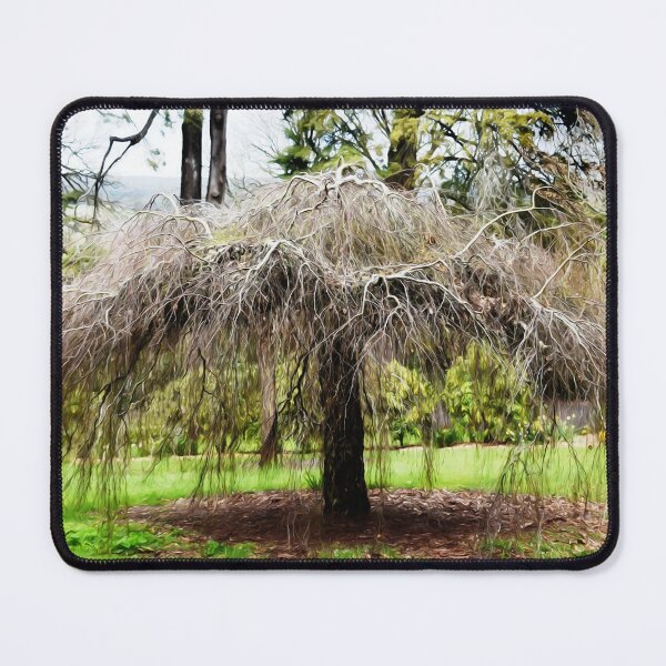 Item preview, Just Hanging Around designed and sold by Yolanda Caporn Art.