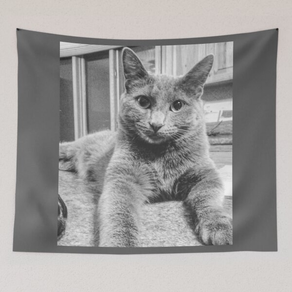 Item preview, Calypso designed and sold by Bee’s ART!.