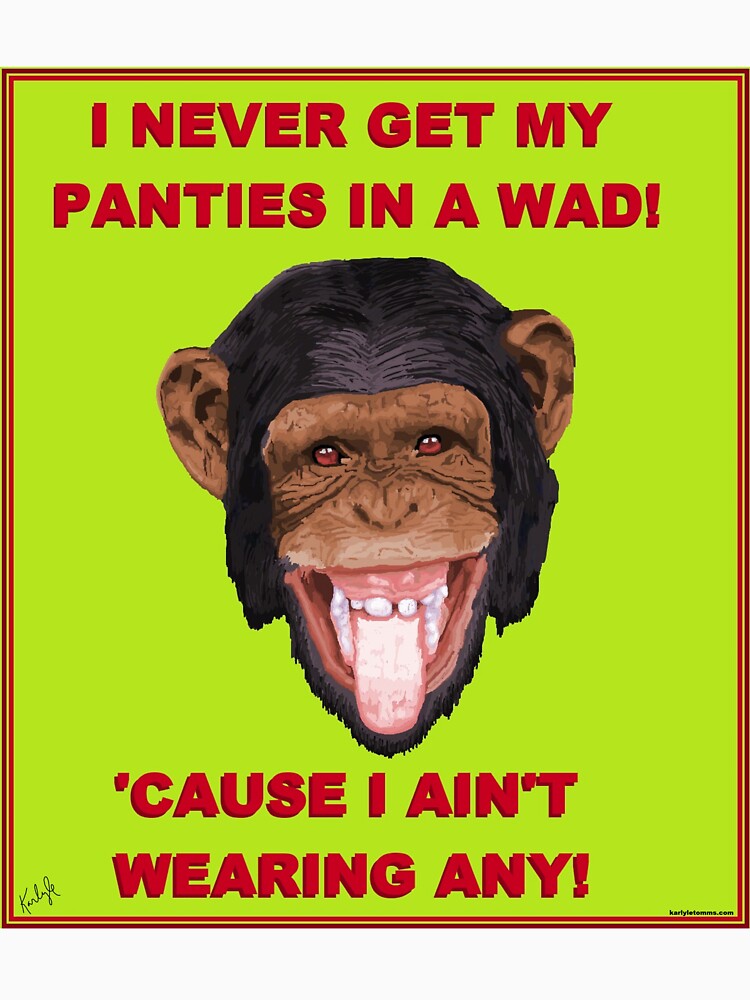 "PANTIES IN A WAD" Tshirt by KarlyleTomms Redbubble