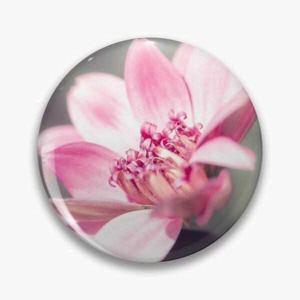 Item preview, Osteospermum Margarita Flower designed and sold by Tanya C  Smith.