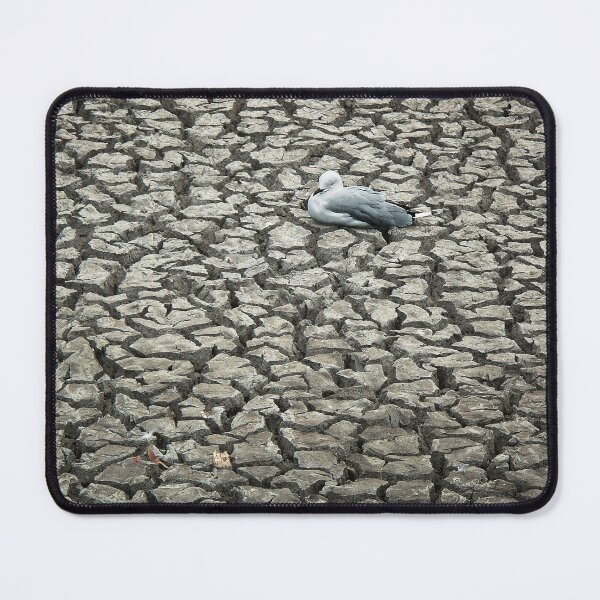 Item preview, 2186 The drought designed and sold by Hans Kawitzki.
