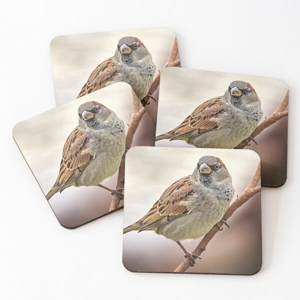 Item preview, 2176 Little Sparrow designed and sold by Hans Kawitzki.