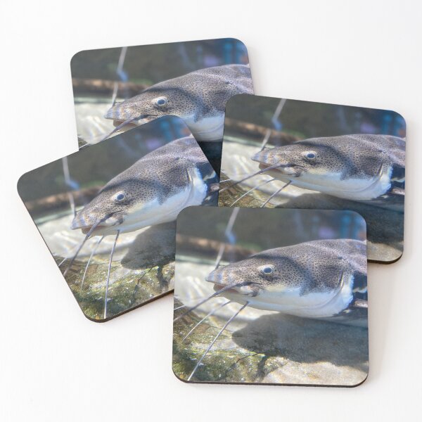 Item preview, Cat Fish  designed and sold by Bee’s ART!.