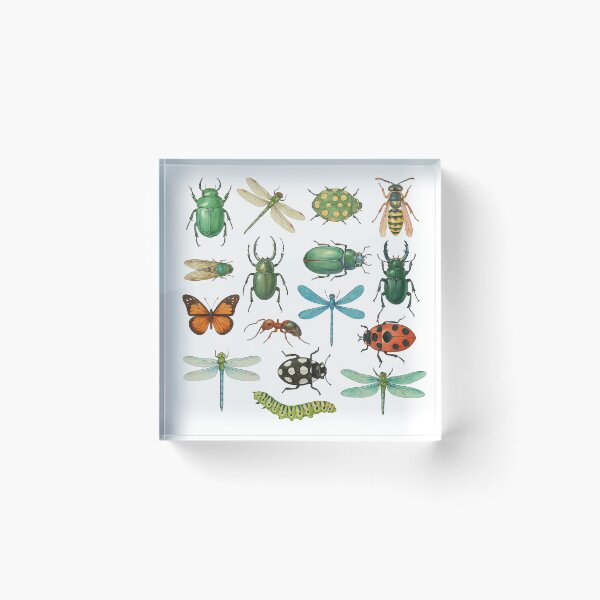 Item preview, Realistic Insects and Dragonflies Illustration Set designed and sold by ArtfulWeave.