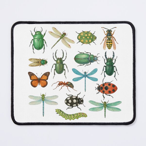 Item preview, Realistic Insects and Dragonflies Illustration Set designed and sold by ArtfulWeave.