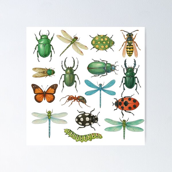 Item preview, Realistic Insects and Dragonflies Illustration Set designed and sold by ArtfulWeave.