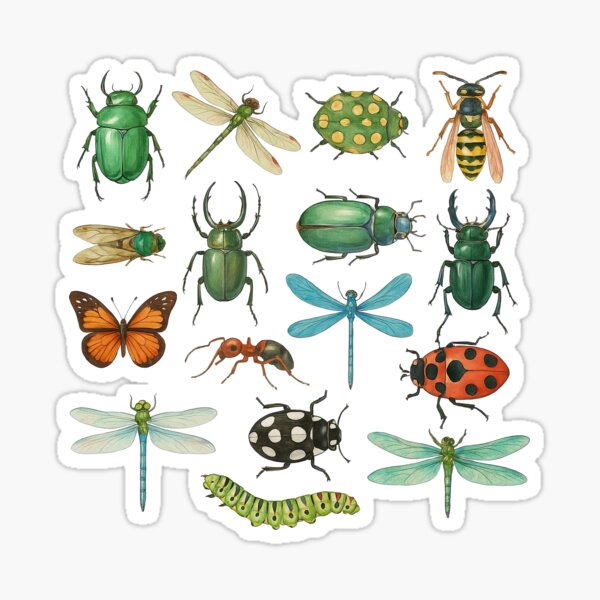 Item preview, Realistic Insects and Dragonflies Illustration Set designed and sold by ArtfulWeave.