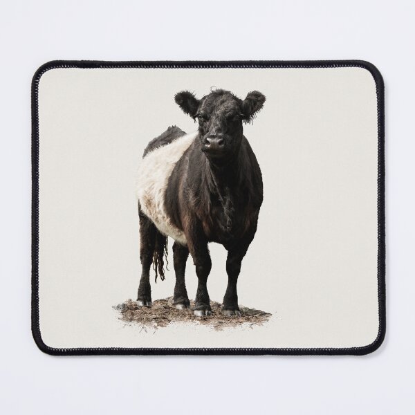 Item preview, Belted Galloway Cow designed and sold by Jane Stanley Photography.