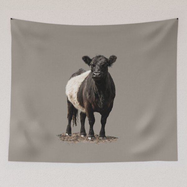 Item preview, Belted Galloway Cow designed and sold by Jane Stanley Photography.