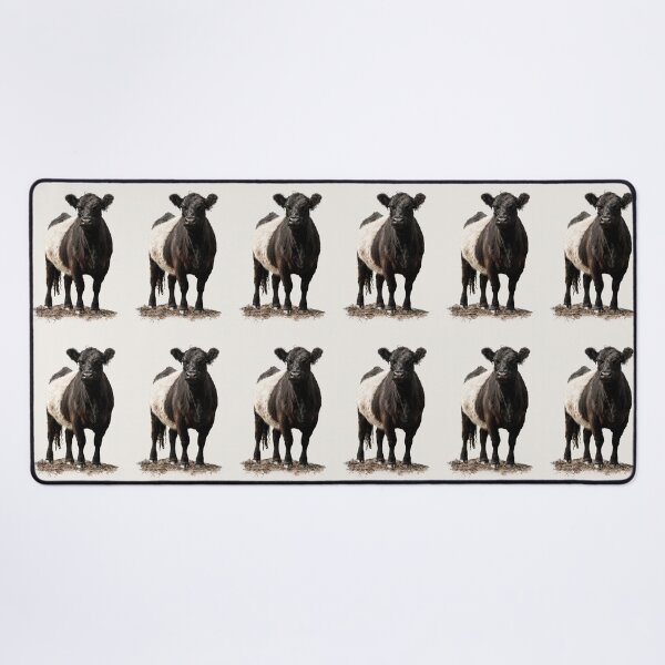 Item preview, Belted Galloway Cow designed and sold by Jane Stanley Photography.