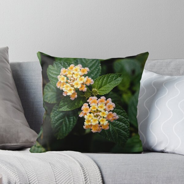 Item preview, Colorful blooms in a tropical garden designed and sold by franck380.
