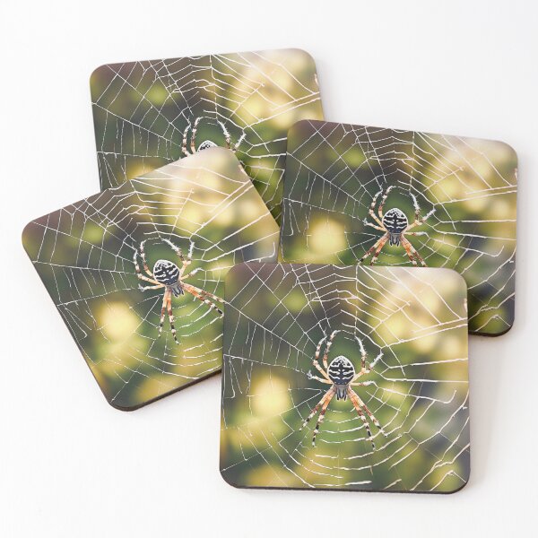 Item preview, Orb-weaver spider designed and sold by Island Art Studios.