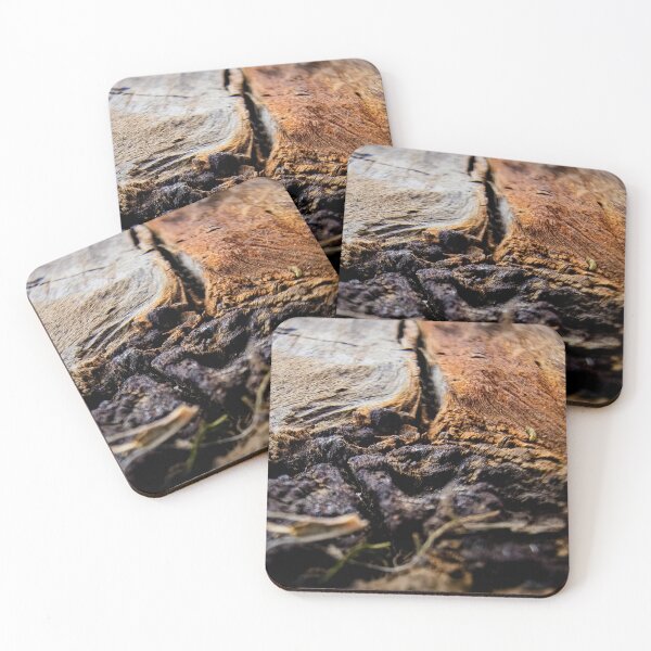 Item preview, Cracked Earth; Natures Wooden Veins designed and sold by feralfallsnfractures.