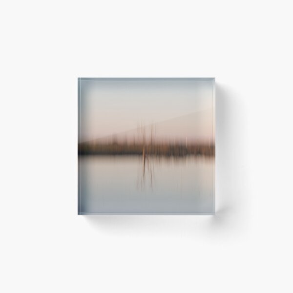 Item preview, Abstract tree reflection ICM designed and sold by Glen McDonald.