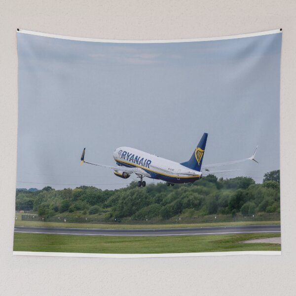 Item preview, MAN a FAO Ryanair Boeing 737-8AS designed and sold by Skyframe Aviation.