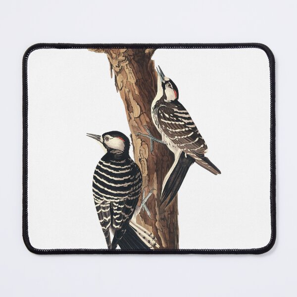 Item preview, The Pine Insignia – Red-cockaded Woodpecker designed and sold by Alder and Cedarwood.