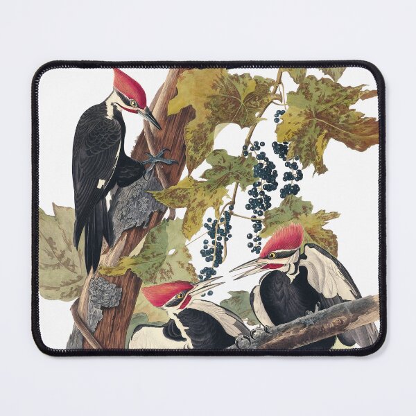 Item preview, The Red-Crested Revenant – Pileated Woodpecker designed and sold by Alder and Cedarwood.