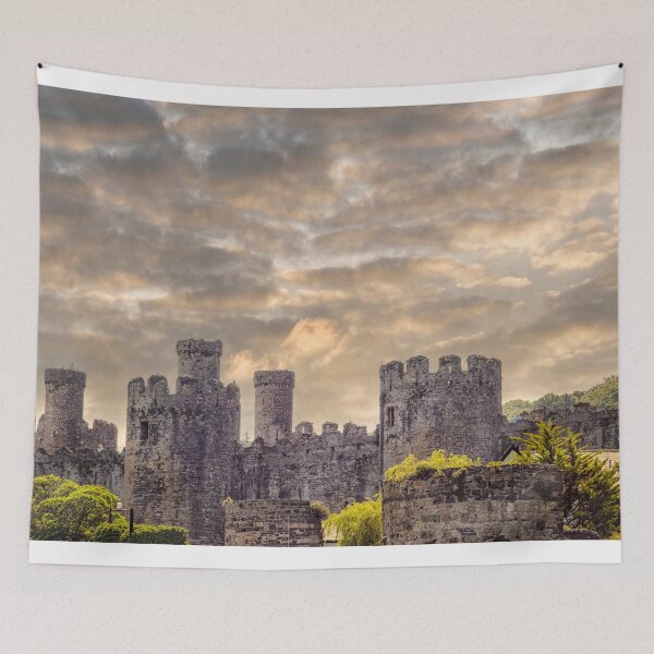 Item preview, Conwy castle in Wales designed and sold by Photopat.