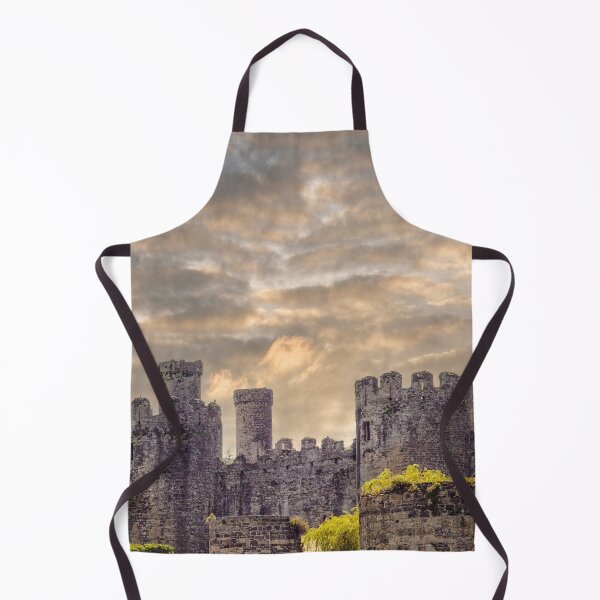 Item preview, Conwy castle in Wales designed and sold by Photopat.