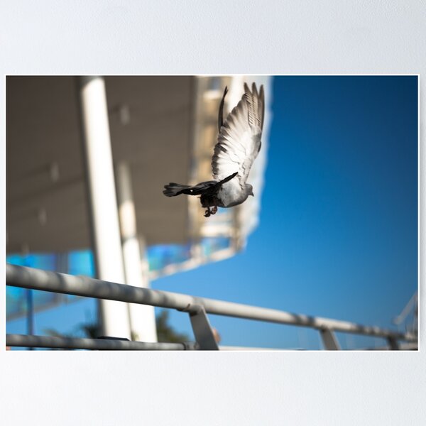Item preview, Freedom in Flight — Pigeon Soaring Over Blue Sky designed and sold by Ellaire.